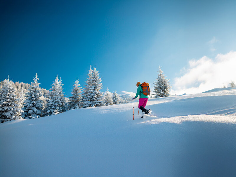 Palaghiaccio | Claut - Dolomiti Friulane