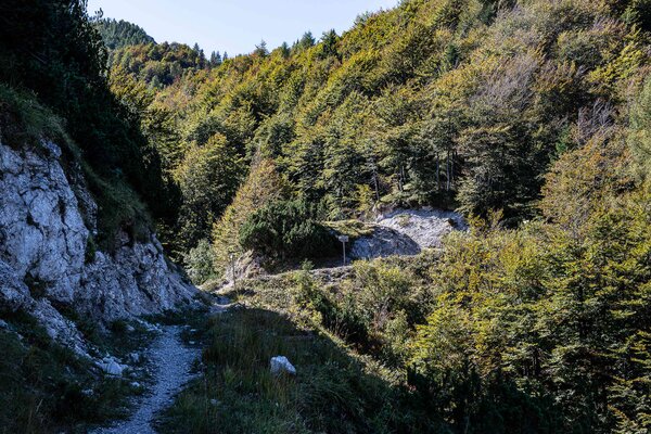 Sentiero della Forcella Clautana