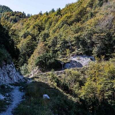 Sentiero della Forcella Clautana