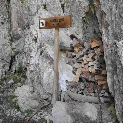 Indicazioni Landre Scur